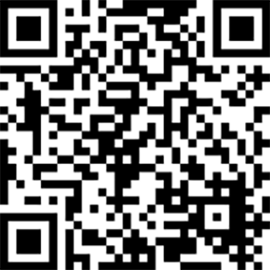QR Code Spende Kurve Paypal